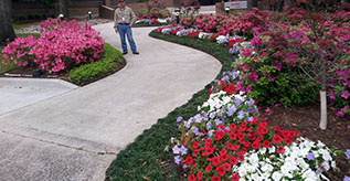 Industrial & Commercial Landscaping Services