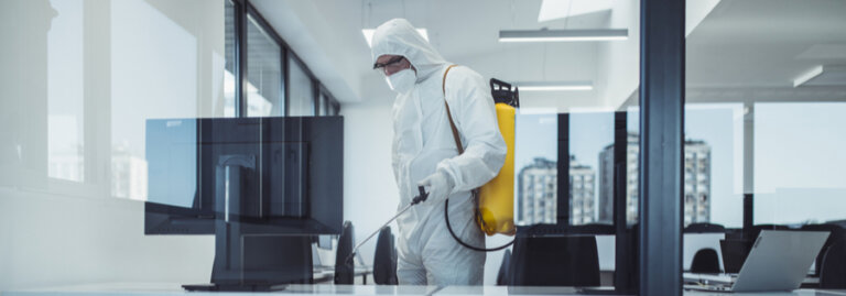 How To Pest-Proof Your Office: Best Practices - Coastal Spray